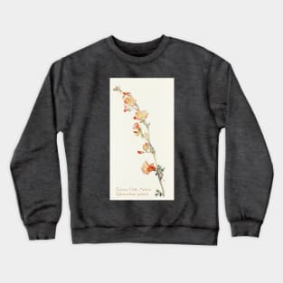 Munro's Globemallow - Botanical Illustration Crewneck Sweatshirt